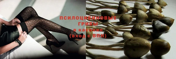 эйфоретик Дмитровск