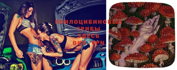 кокаин перу Дмитриев