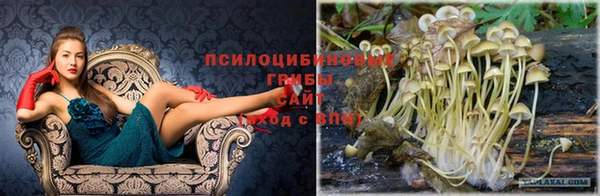 меф Дмитров