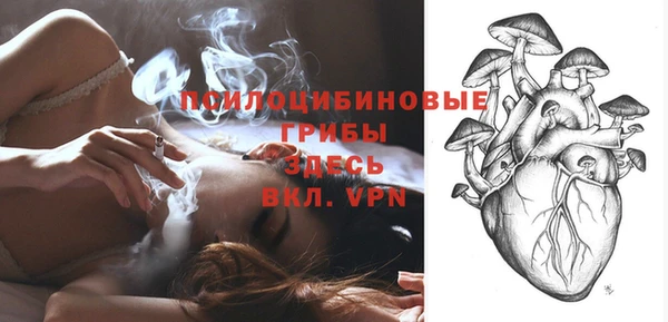 меф Дмитров