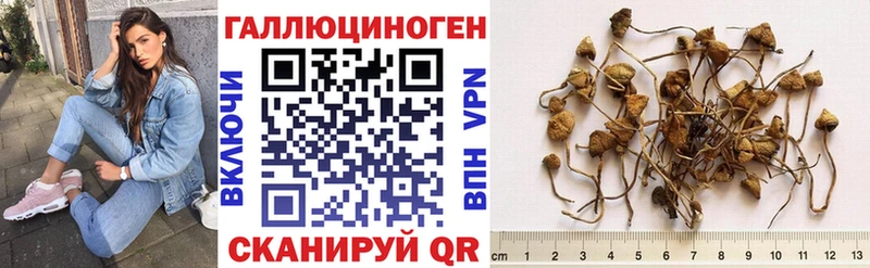 наркошоп  Кинель  Псилоцибиновые грибы GOLDEN TEACHER 